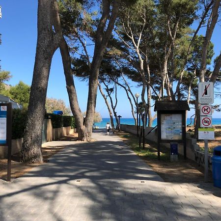 Sommer, Sonne, Strand Und Pool! Canyamel (Mallorca) Exterior foto